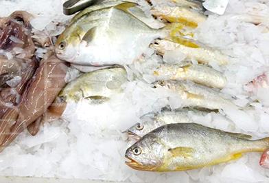 片冰機(jī)的使用注意事項(xiàng)01