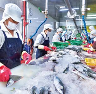 片冰機(jī)的特點(diǎn)